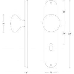 Intersteel KNOP PADDENSTOEL OP SCHILD SLEUTELGAT 56 MM RVS GEBORSTELD