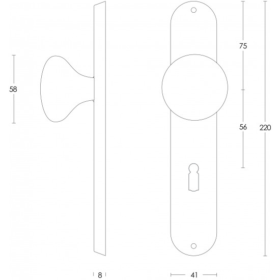 Intersteel KNOP PADDENSTOEL OP SCHILD SLEUTELGAT 56 MM RVS GEBORSTELD