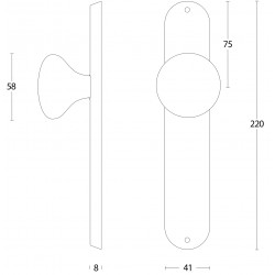 Intersteel KNOP PADDENSTOEL OP SCHILD BLIND RVS GEBORSTELD