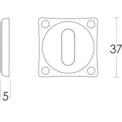 Intersteel ROZET SLEUTELGAT VIERKANT BASIC NIKKEL MAT