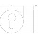 Intersteel ROZET SET ROND MET PROFIELCILINDERGAT RVS GEBORSTELD