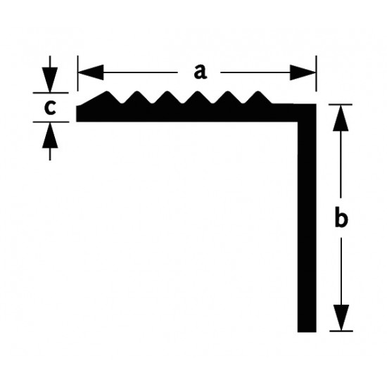 TRAPKANT ALUMINIUM ZILVER GEANODISEERD 20X19X2MM 100CM