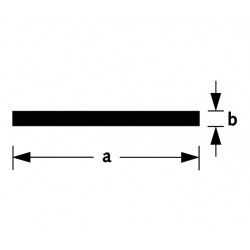 PLATPROFIEL ALUMINIUM BRUTE 10X2MM 100CM