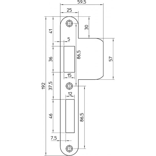 P 4139/17/T DR.2+4 SLUITPLAAT, RVS 29X196MM RECHTHOEKIG, B