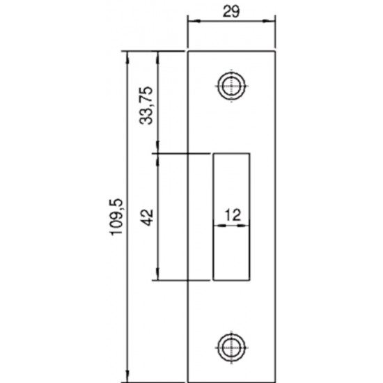 P 4228/17/T SLUITPLAAT, RVS 29X109.5MM RECHTHOEKIG